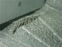 8) A sidewall defect as seen from the inside of the tire.
  